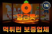 스포츠부터 홀덤까지 제약 없는 즐거움 